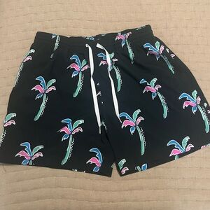 Men’s Chubbies Classic Swim Trunk 5.5 Inseam
